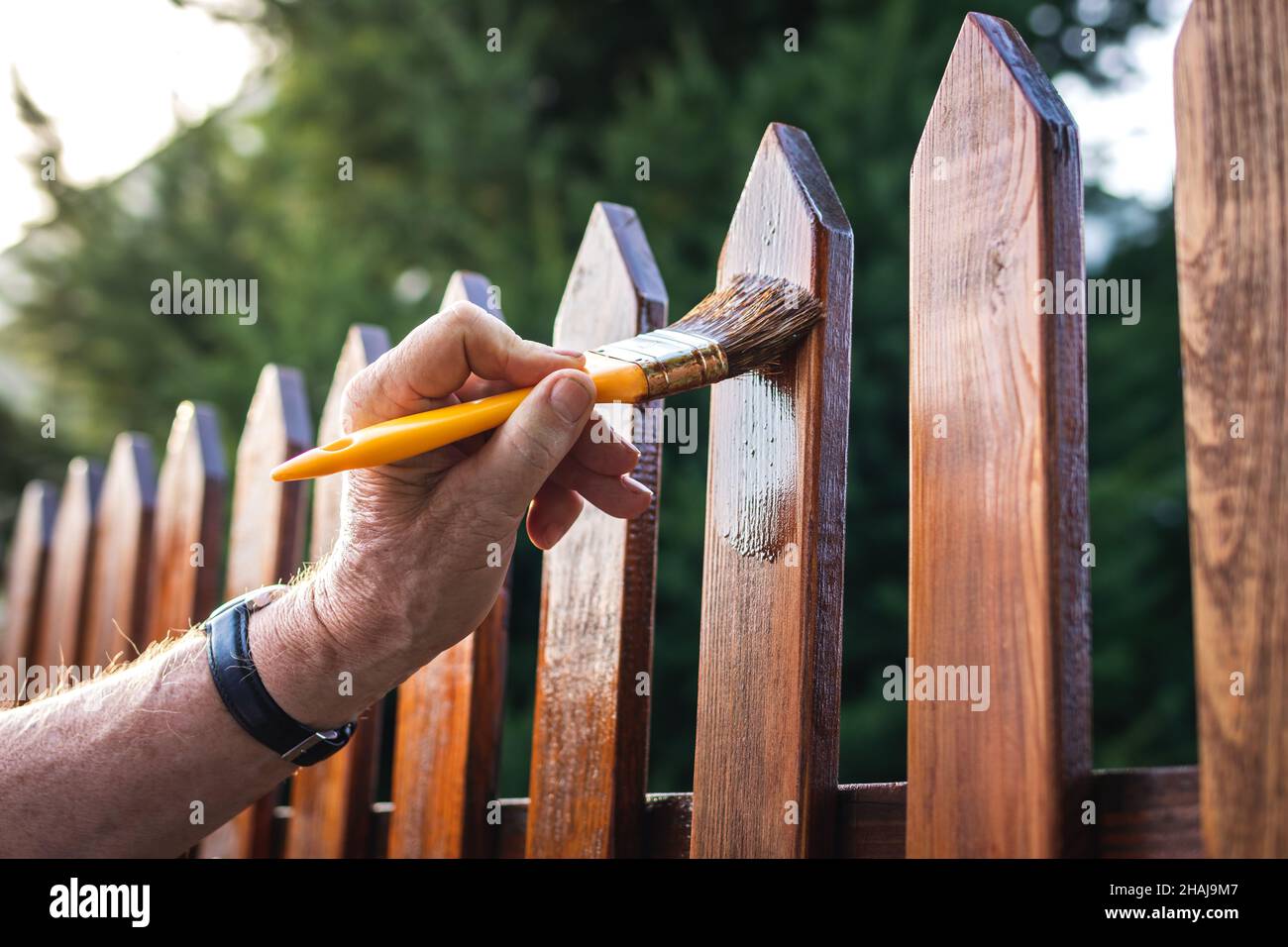 Mann malt Holzfleck auf Holzbrett im Garten. Malen Sie Schutzlack auf hölzernen Pfostenzaun im Hinterhof Stockfoto