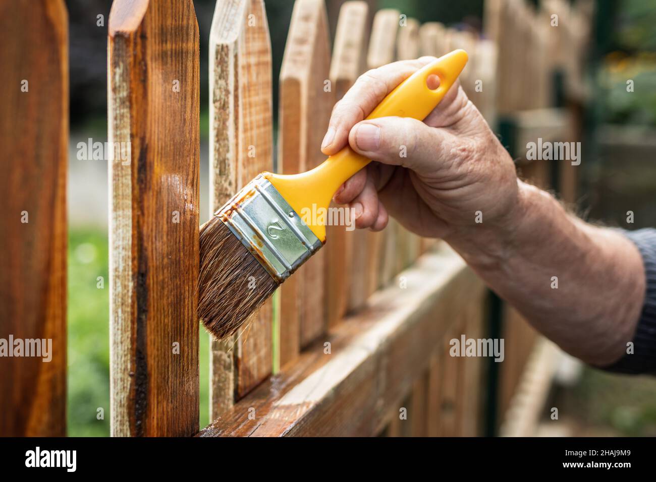 Lackierung von Schutzlack auf einem Holzpfostenzaun im Hinterhof. Man malt Holzfleck auf Holzbrett im Freien Stockfoto