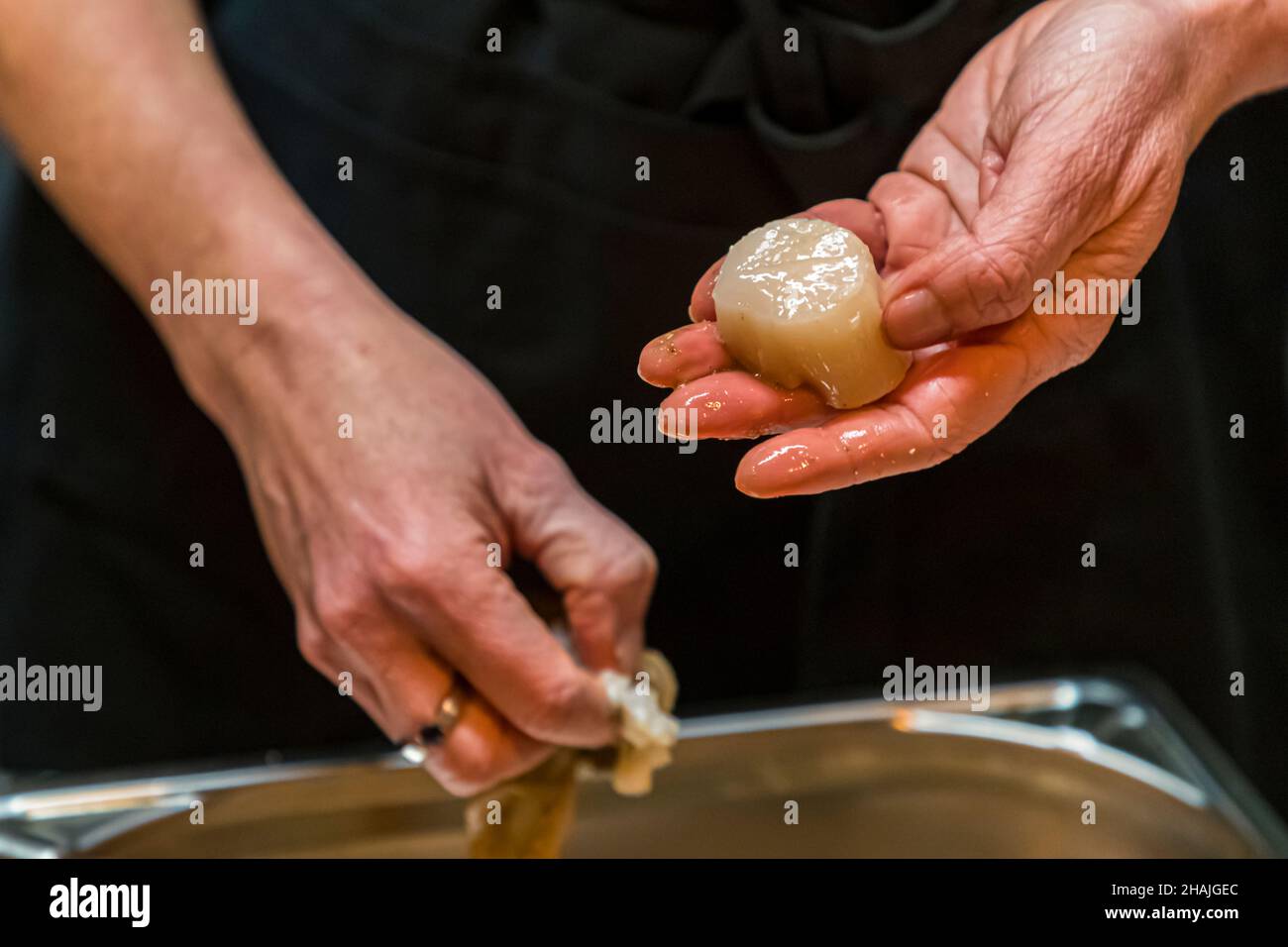 Frische Jakobsmuscheln mit Meersalz, schwarzem Pfeffer und Olivenöl und frisch rasierten schwarzen Trüffeln. Reduziert auf diese wenigen Zutaten, kommt der Geschmack des schwarzen Trüffels sehr gut zum Vorliegen. Aups, Frankreich Stockfoto