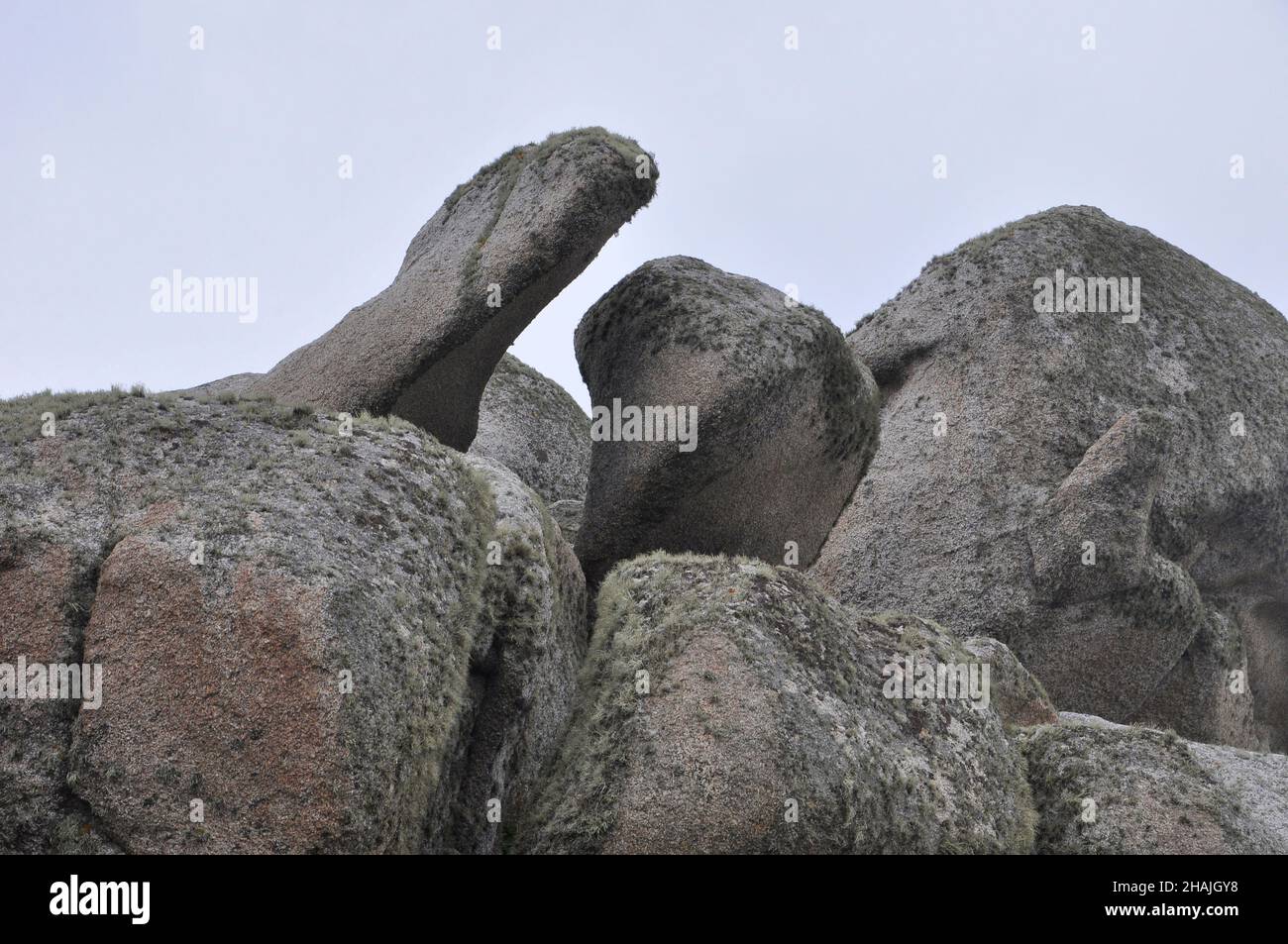 Wind, Regen und Meer erodiert Gestein, Granit, Penninis Kopf, St Mary's, Scilly-inseln, Großbritannien Stockfoto