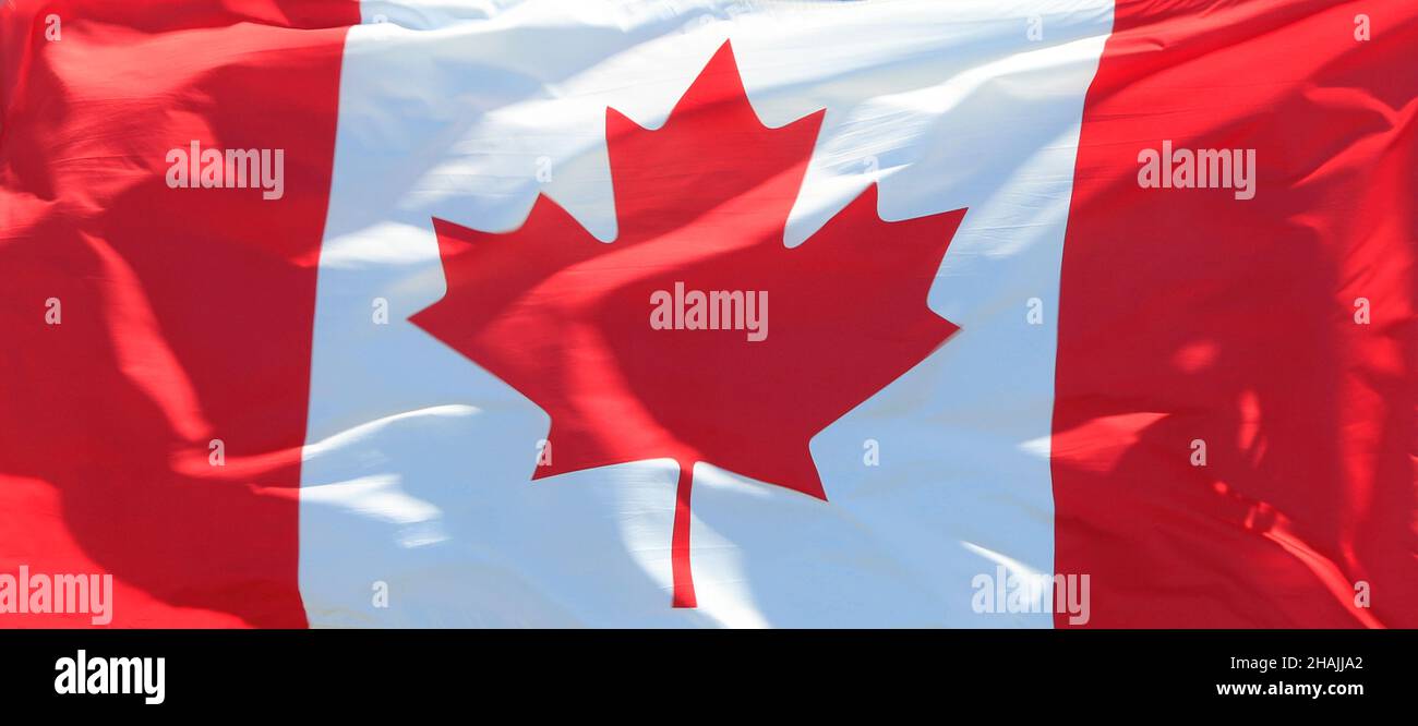 Kanadische Flagge winkt im Windhintergrund Stockfoto