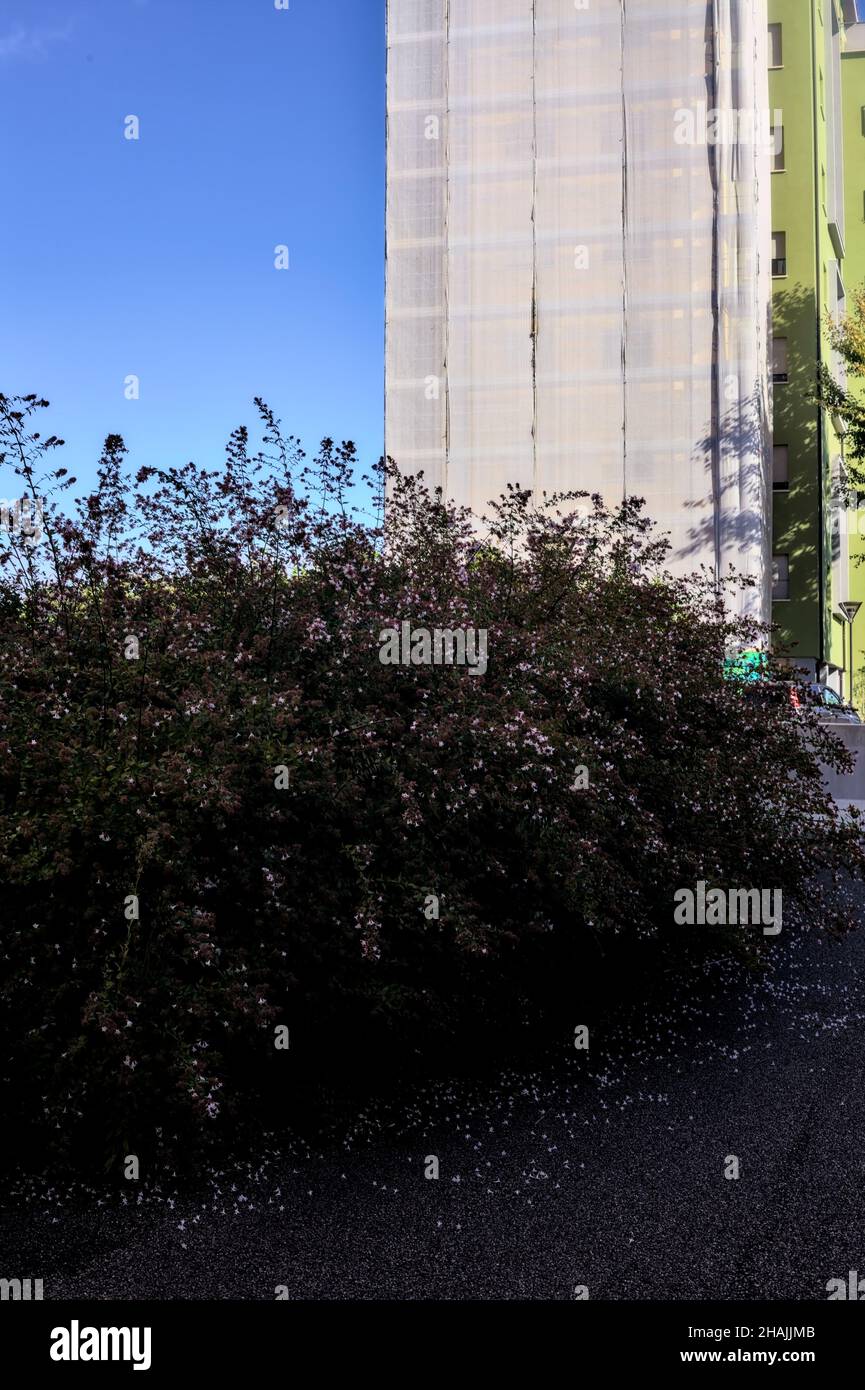 Blockierter Durchgang in einem Wohngebiet mit einem Gebäude, das an einem klaren Tag im Hintergrund gewartet wird Stockfoto