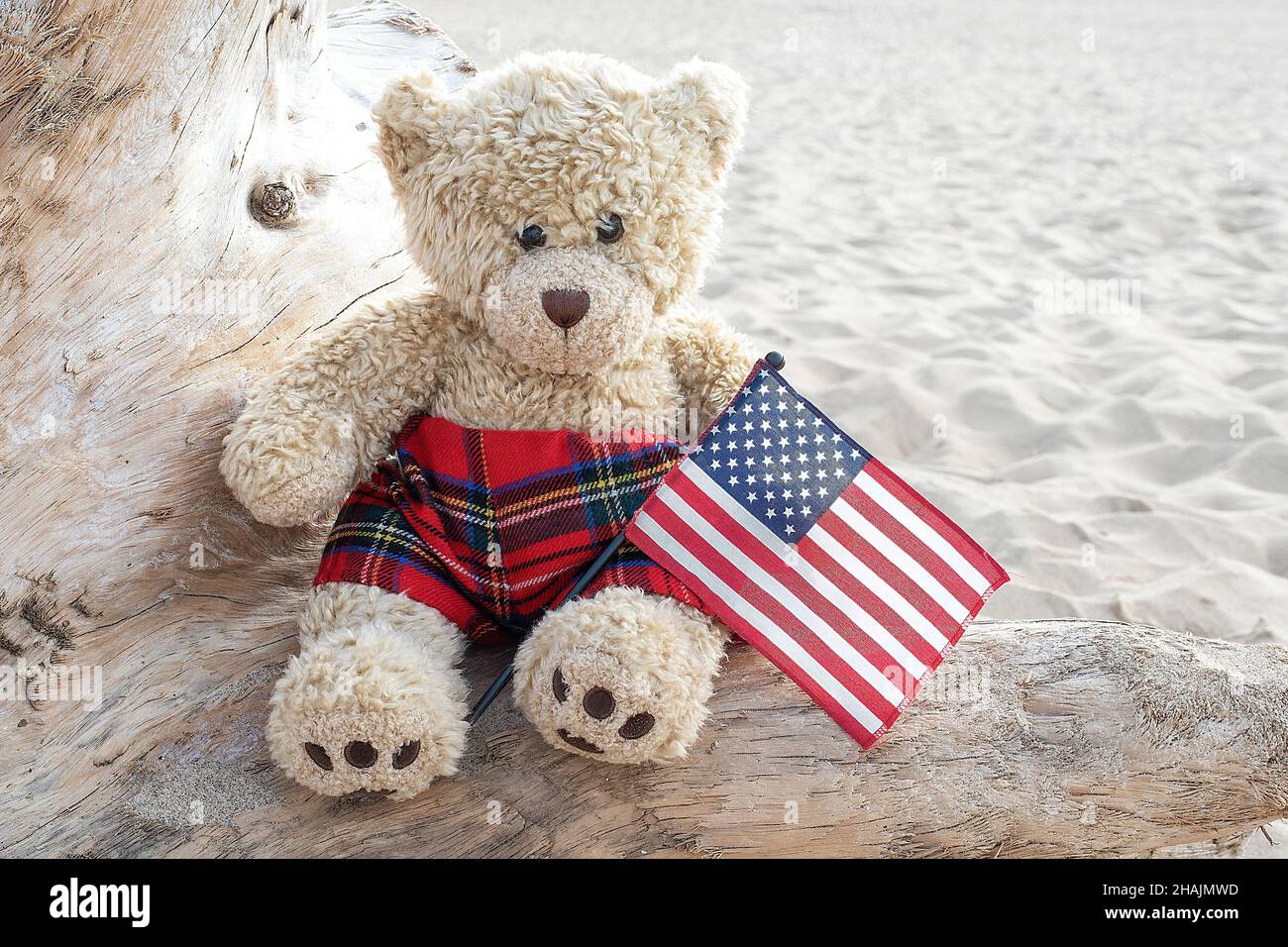 Unscharfer brauner Teddybär mit einer amerikanischen Flagge auf dem Treibholz am Strand Stockfoto