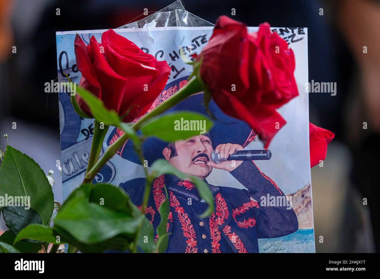 Los Angeles, Kalifornien, USA. 13th Dez 2021. Blumen und Kerzen werden am Hollywood Walk of Fame Star des verstorbenen mexikanischen Musikers Vicente Fernandez am Montag, den 13. Dezember 2021, in Los Angeles ausgestellt. Fernandez, ein legendärer und geliebter Sänger der regionalen mexikanischen Musik, der mit drei Grammys und neun Latin Grammys ausgezeichnet wurde, starb am Sonntag um 81 Uhr. (Bild: © Ringo Chiu/ZUMA Press Wire) Stockfoto