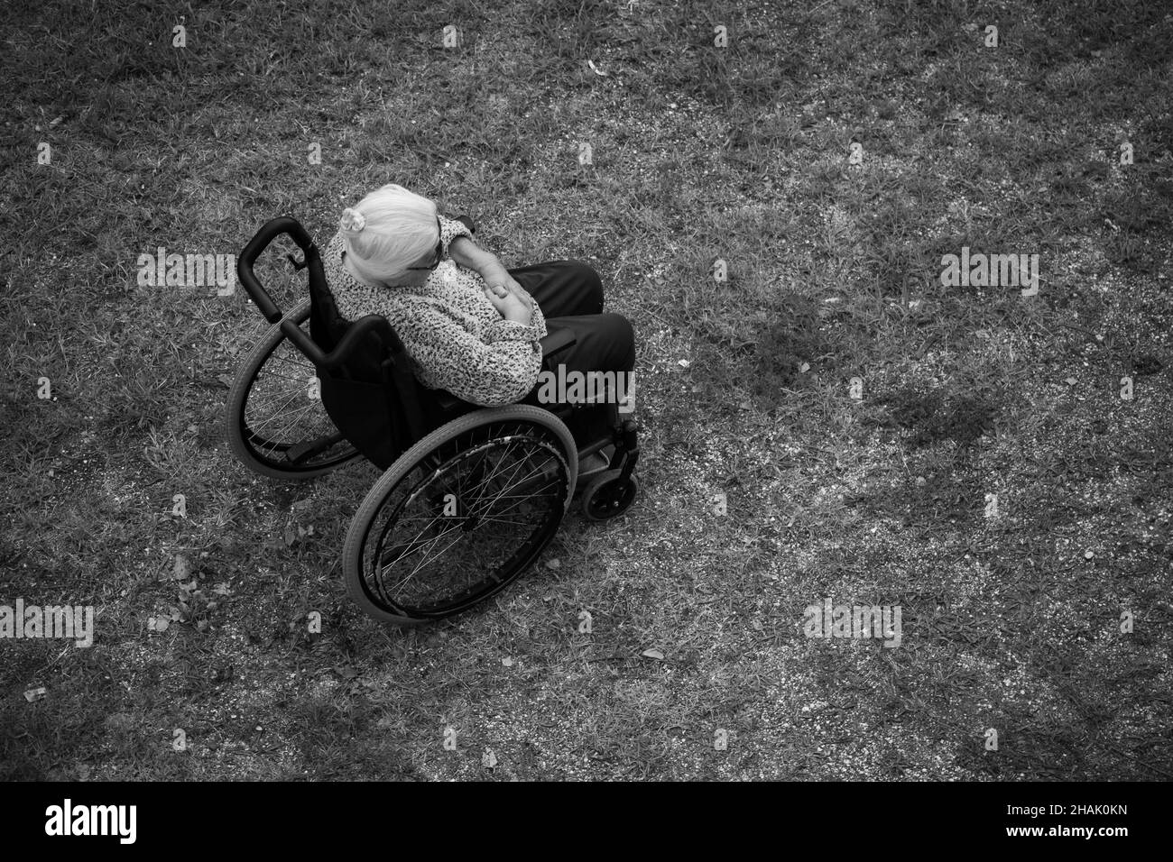 Ältere Frau, die in einem Rollstuhl vor einem Hintergrund aus Gras sitzt Stockfoto