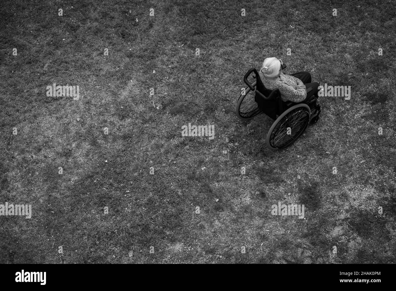 Ältere Frau, die in einem Rollstuhl vor einem Hintergrund aus Gras sitzt Stockfoto