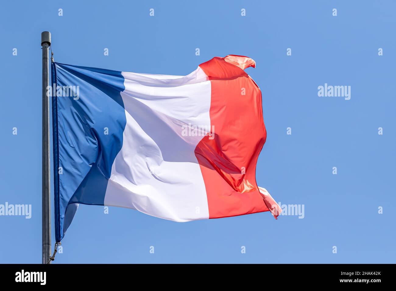 Französische Nationalflagge winkt auf blauem Himmel Hintergrund. Französische Republik, FR Stockfoto