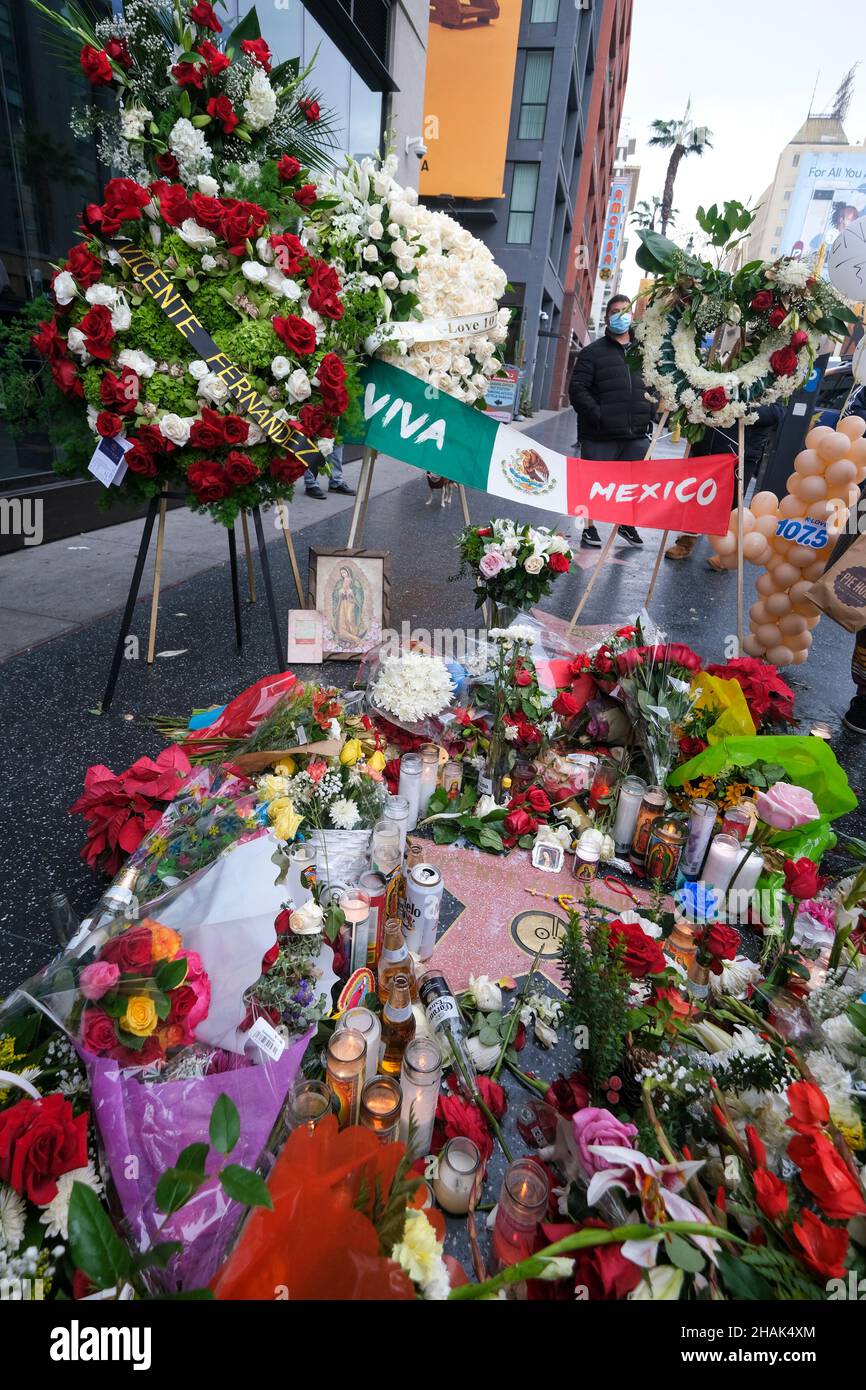 Los Angeles, Kalifornien, USA. 13th Dez 2021. Blumen und Kerzen werden im Hollywood Walk of Fame Star des verstorbenen mexikanischen Musikers Vicente Fernandez ausgestellt. Fernandez, ein legendärer und geliebter Sänger der regionalen mexikanischen Musik, der mit drei Grammys und neun Latin Grammys ausgezeichnet wurde, starb am Sonntag um 81 Uhr. (Bild: © Ringo Chiu/ZUMA Press Wire) Stockfoto