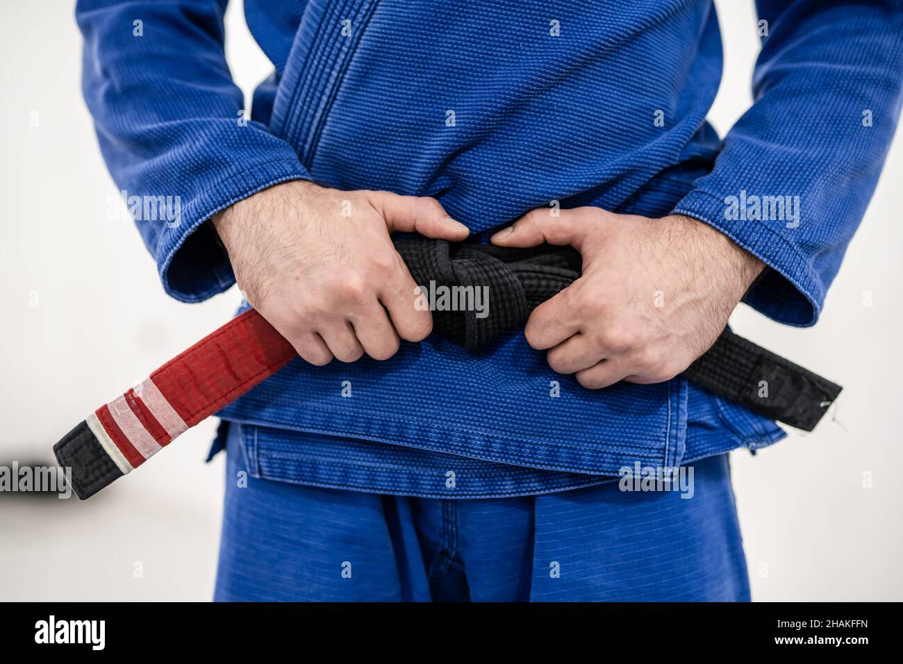 Nahaufnahme des Mittelteils des unbekannten kaukasischen männlichen Athleten bjj brasilianischer Jiu-Jitsu-Gürtel, der während der tra-Zeit auf der Matte bei der Akademie steht und seinen Gürtel hält Stockfoto