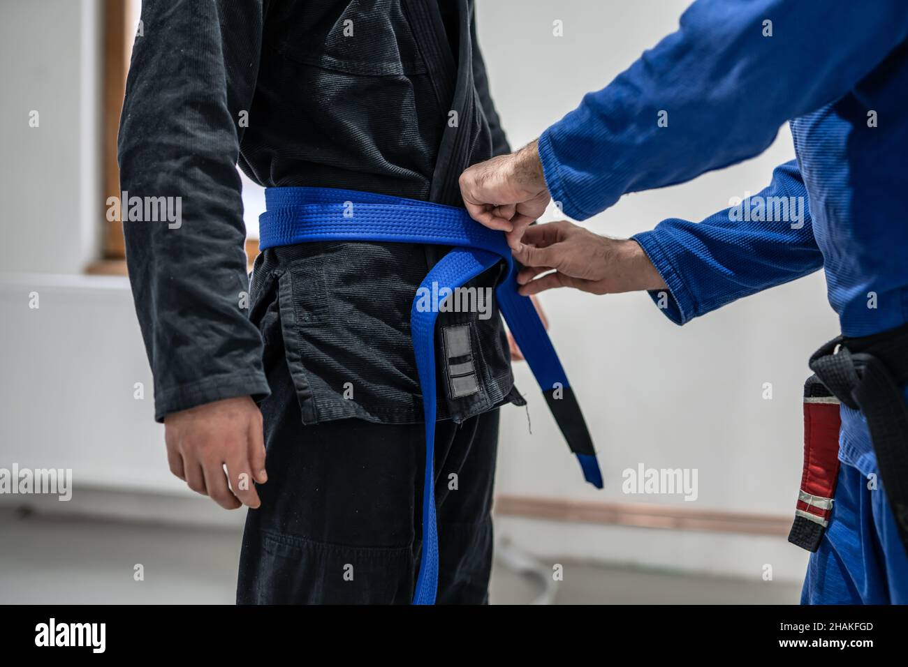 BJJ brasilianische jui jutsu Gürtel Förderung Nahaufnahme auf die Hände von unbekannten Lehrer schwarzen Gürtel Professor binden blauen Gürtel auf der Taille seines Studenten Stockfoto