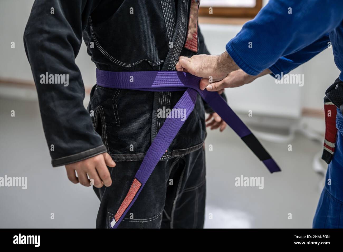 BJJ brasilianische jui jutsu Gürtel Förderung Nahaufnahme auf die Hände von unbekannten Lehrer schwarzen Gürtel Professor binden lila Gürtel auf der Taille seines Studenten Stockfoto