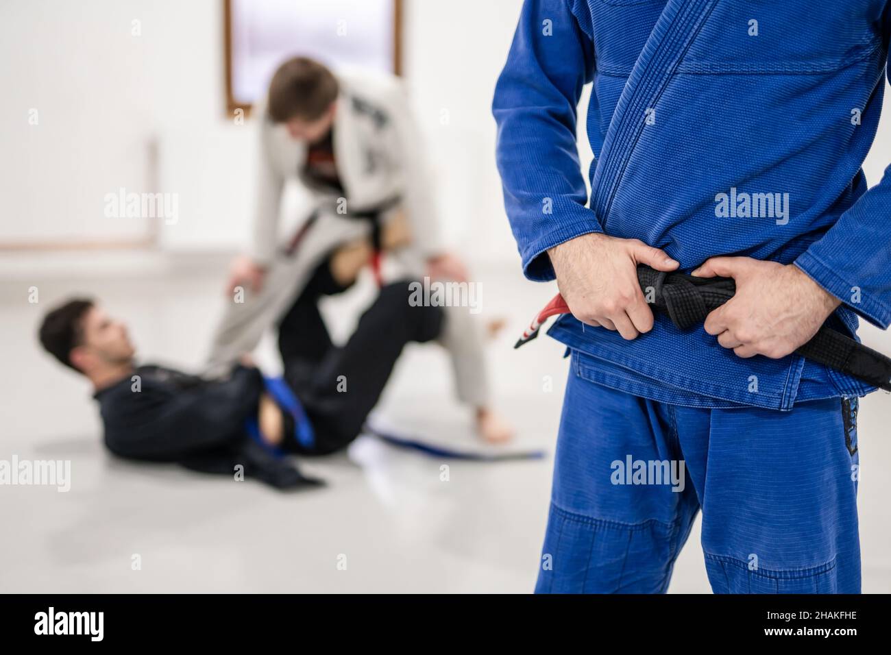 Nahaufnahme des Mittelteils des unbekannten kaukasischen männlichen Athleten bjj brasilianischer Jiu-Jitsu-Gürtel, der während der tra-Zeit auf der Matte bei der Akademie steht und seinen Gürtel hält Stockfoto