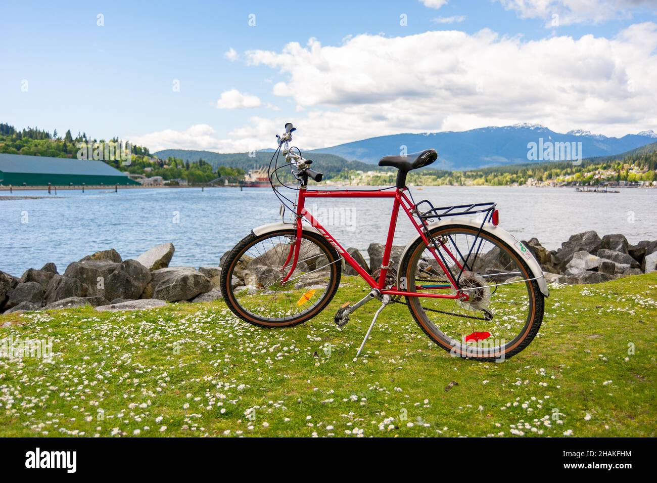 Rotes Vintage-Fahrrad an einem schönen, teilweise bewölkten Tag in Port Moody am Meer mit Bergen im Hintergrund und Kamillenblumen auf dem grünen Gras Stockfoto