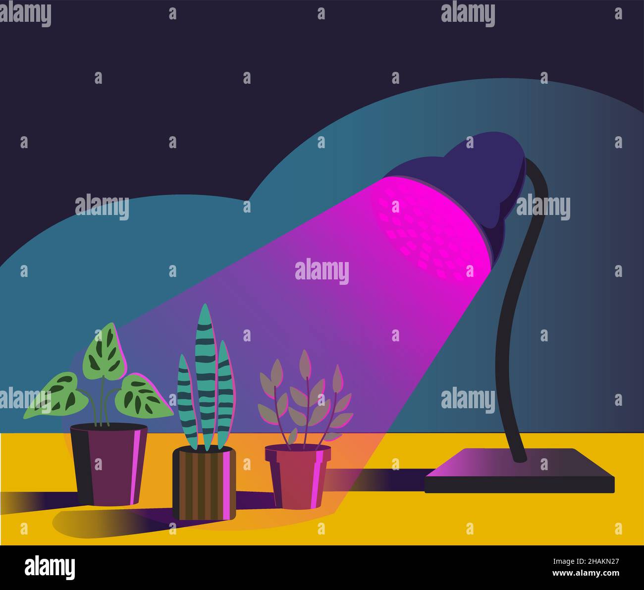 Haus Gartenanlagen unter purpurem Licht der Phyto-Lampe. Vektorgrafik im einfachen Cartoon-Stil. Stock Vektor