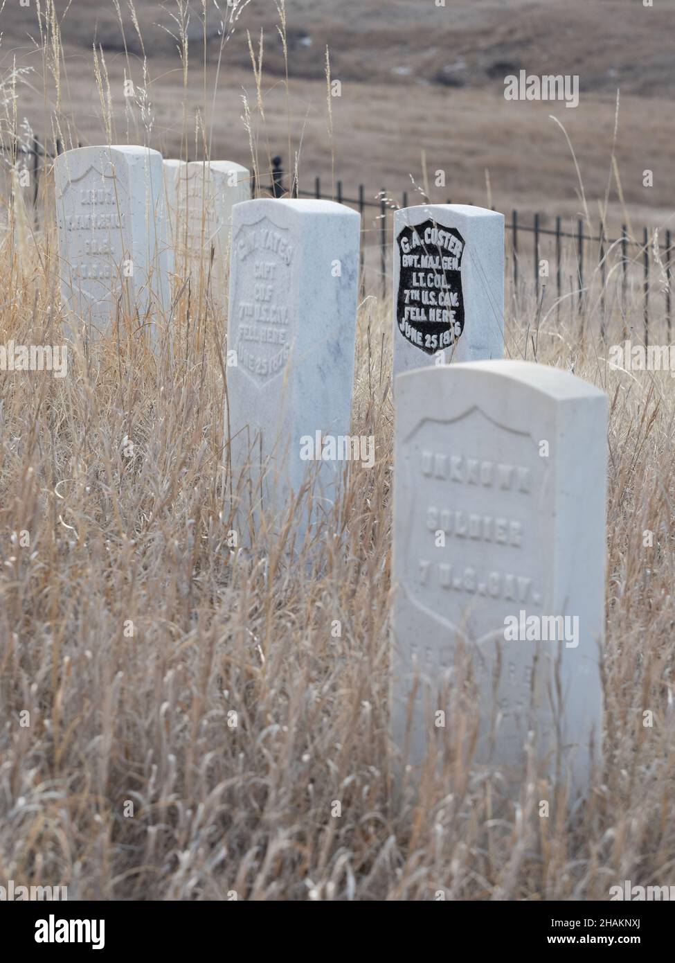 Nahaufnahme der Grabsteine aus weißem Marmor von George Custer und 7th Kavalleriemännern im Little Bighorn Battlefield National Monument in Montana mit getrocknetem Gras Stockfoto