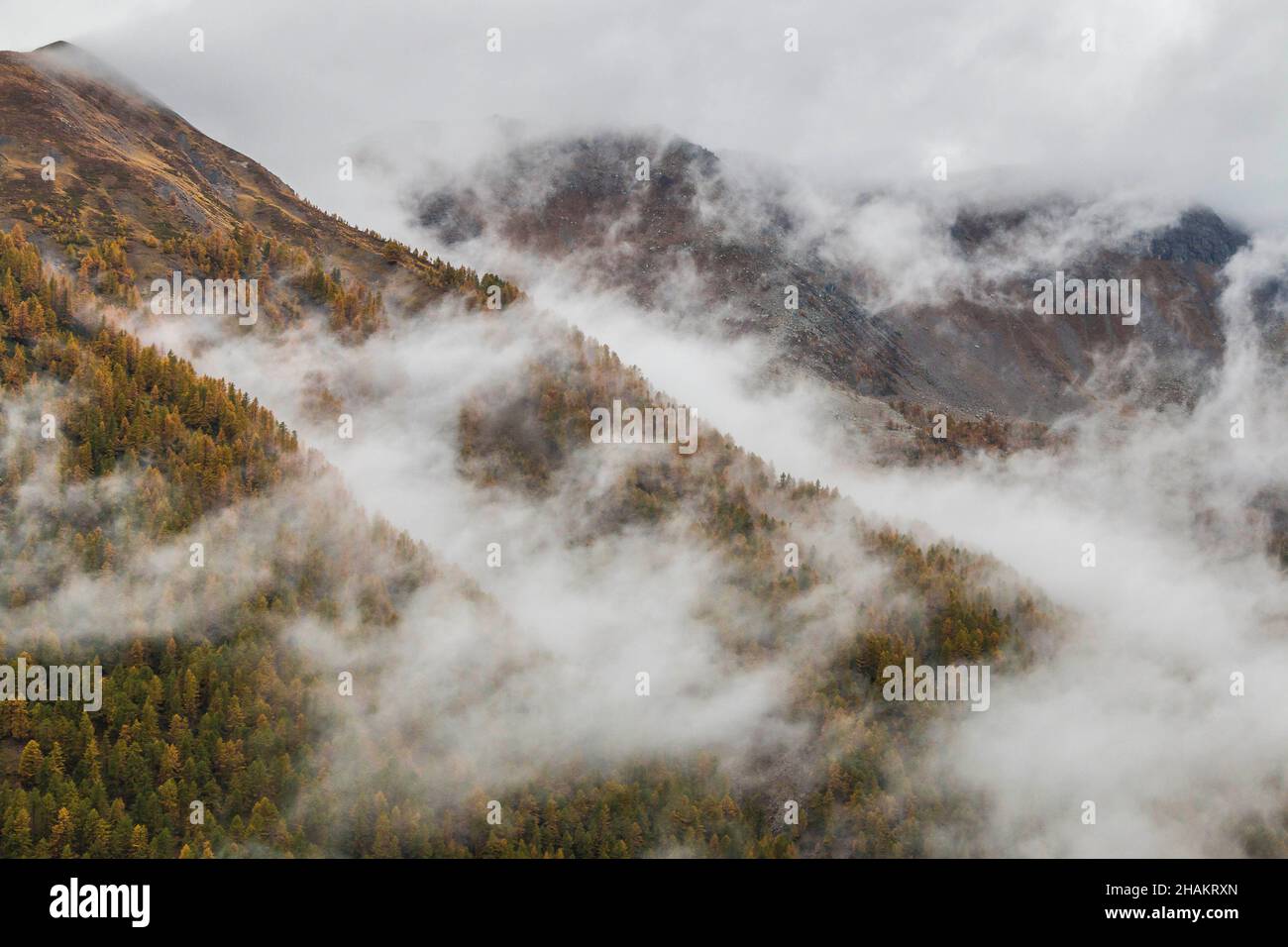 ALPES MARITIMES (06), NATIONALPARK MERCANTOUR, TINEE-TAL, ROUBION Stockfoto