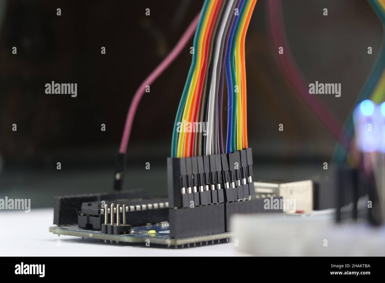 Die Überbrückungskabel-Steckverbinder sind mit der Entwicklungsplatine verbunden. Farbige Kabel für die Herstellung von elektronischen Schaltungen Stockfoto