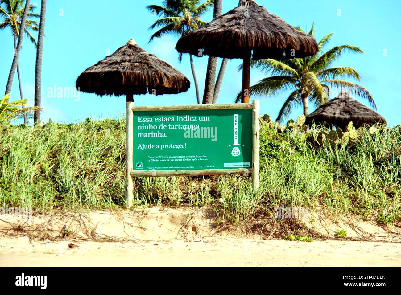 Tamar Projekt: Touristische Aufklärungstafel. Schildkröten Laichgebiet. Das Auftreten von künstlichem Licht führt zu einer Desorientierung der Schildkröten. Camaçari- Bahia- Brasilien Stockfoto