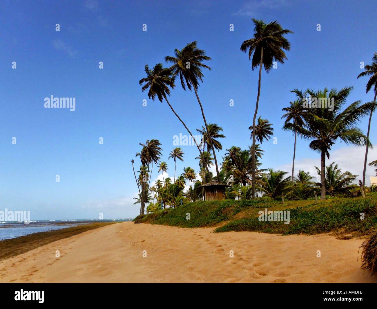 Schöner einsamer Strand in Camaçari, Bahia, Brasilien. Stockfoto