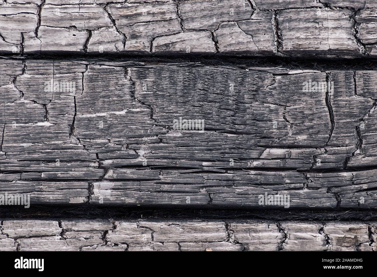 Strukturierter monochromer Hintergrund aus rauem verbranntem Holz in dunkler Farbe mit Rissen in Reihen Stockfoto