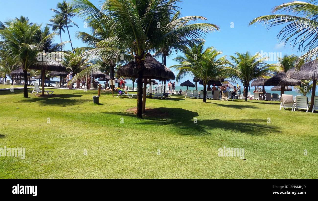 Vila Galé Resort: Rasen vor dem Meer, mit Liegestühlen, Resort im Nordosten von Brasilien - Camaçari- Bahia - Brasilien Stockfoto