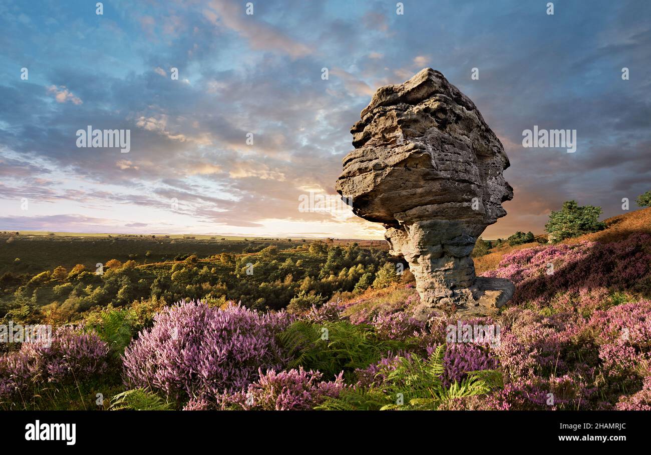 Bridestone-Felsformation im Dalby-Wald, North Yorks Moors National Park, England. Die berühmten Bridestones, Crosscliff und Blakey Topping, sind AP Stockfoto