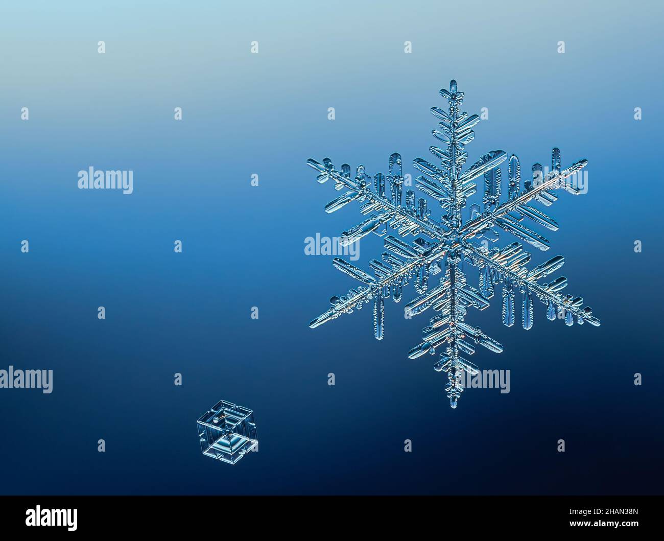 Zwei Schneeflocken auf glattem Gefälle Hintergrund. Makro-Foto von echtem Schneekristall auf Glasoberfläche. Dies ist eine kleine Schneeflocke mit ungewöhnlichem Muster. Stockfoto