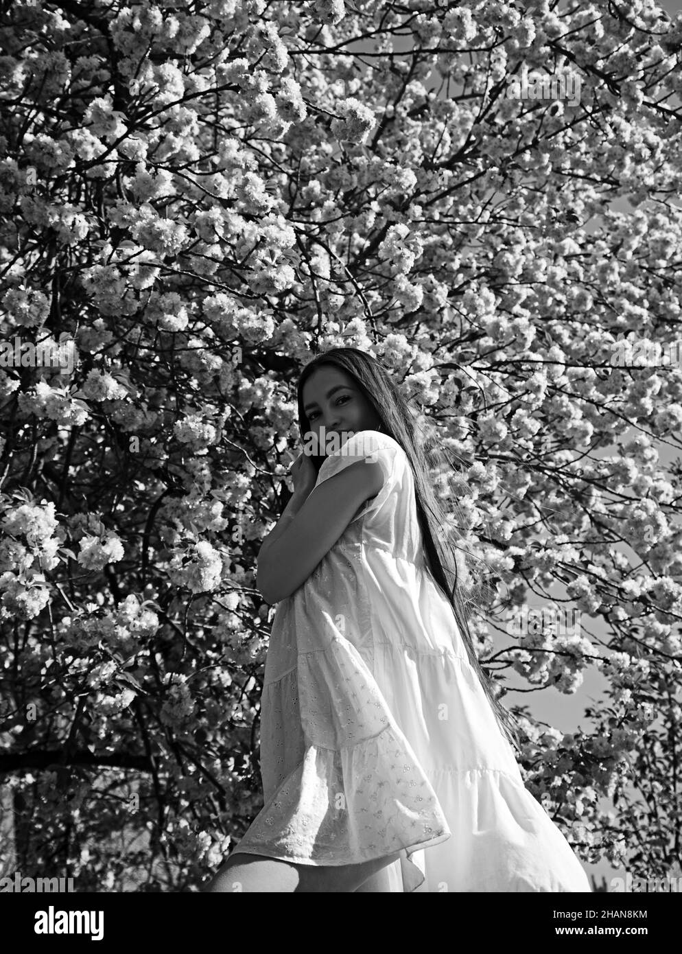 Porträt einer jungen schönen Frau, die unter blühenden Sakura-Bäumen posiert. Stockfoto