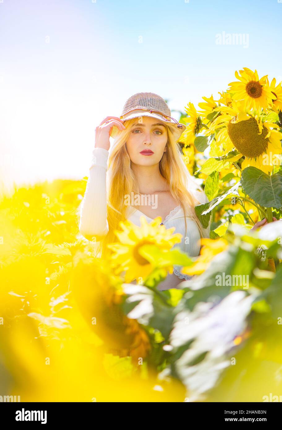 Eine blonde ziemlich langhaarige junge Frau (22 Jahre) in einem Sonnenblumenfeld an einem hellen sonnigen Tag trägt einen Bast Strohhut redaktionellen Lifestyle-Bild. Stockfoto