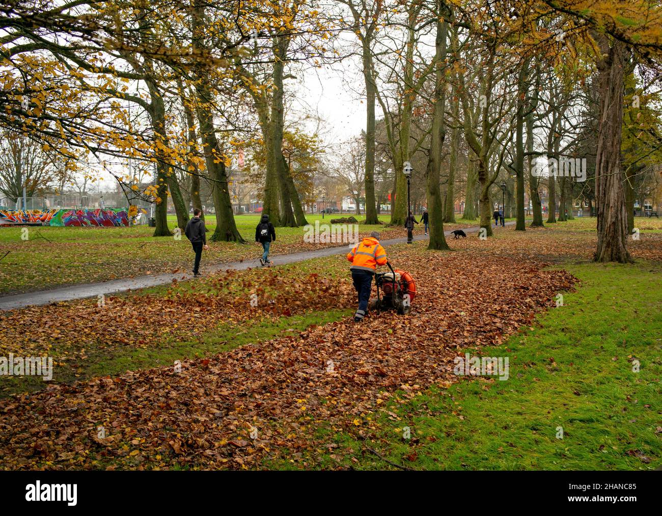 Mitarbeiter des Stadtrats, die Blätter mit Industriegebläsen aus Stadtparks in Southampton im Vereinigten Königreich abräumen. Stockfoto