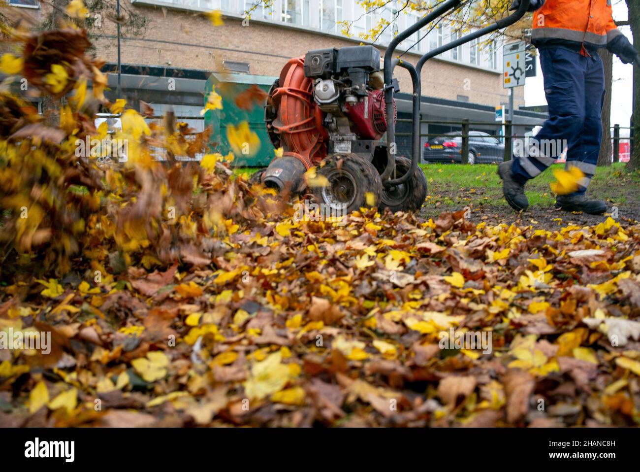 Nahaufnahme eines industriellen Laubbblasers, der Blätter an die Kamera bläst, während Mitarbeiter des Stadtrats die Parks im Stadtzentrum von Southampton (Großbritannien) räumen. Stockfoto