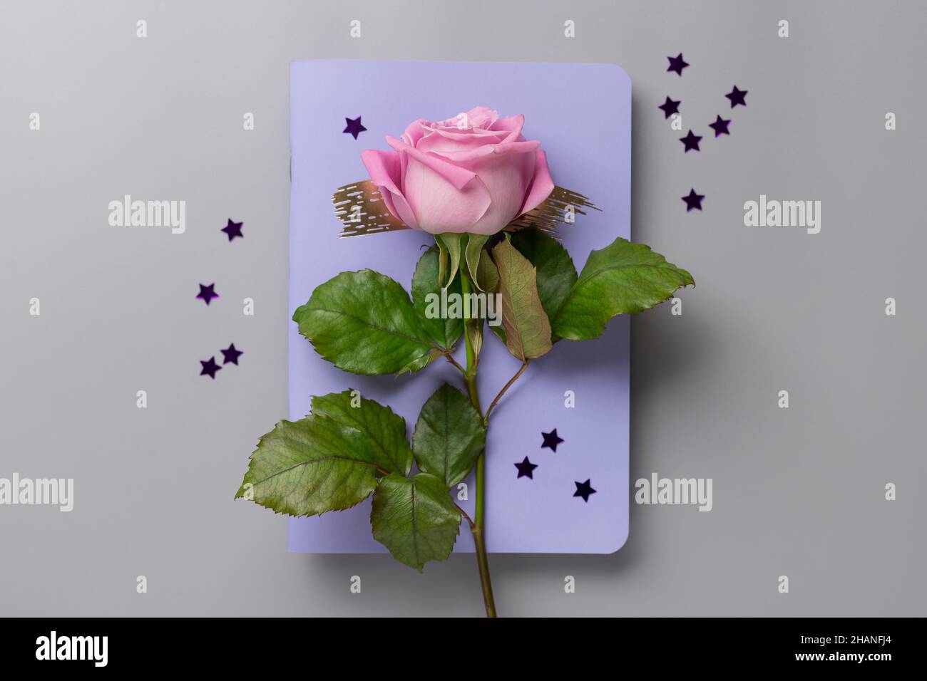 Rosenblüte, violettes Notizbuch und Sternenkonfetti auf grauem Schreibtisch Stockfoto