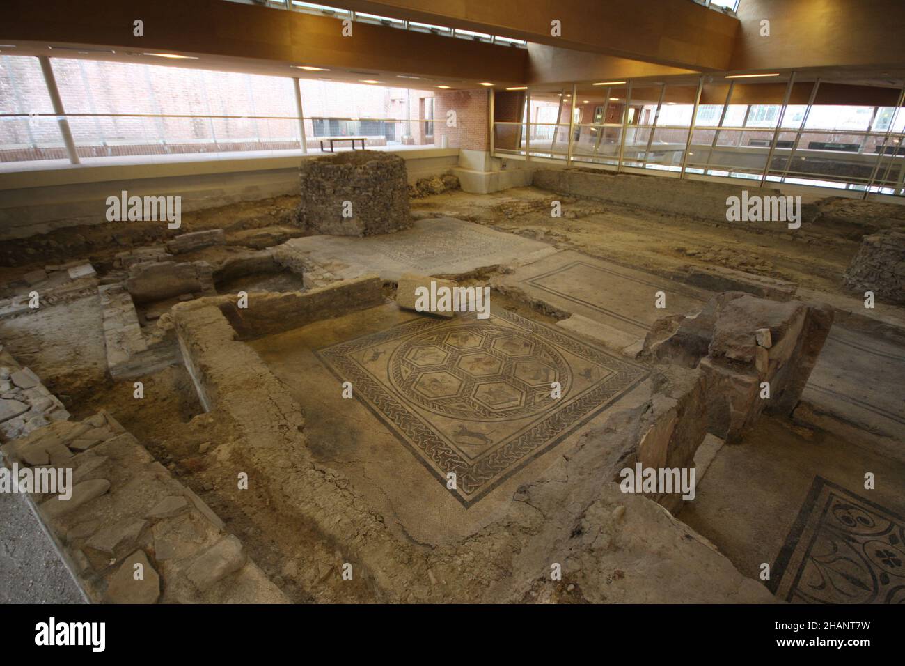 Schöne römische Domus, Chirurgen-Haus oder Villa in Rimini, Italien entdeckt. Im Inneren des Museums sind wunderschöne Mosaiken zu sehen. Mehrere Werkzeuge des Chirurgen Stockfoto