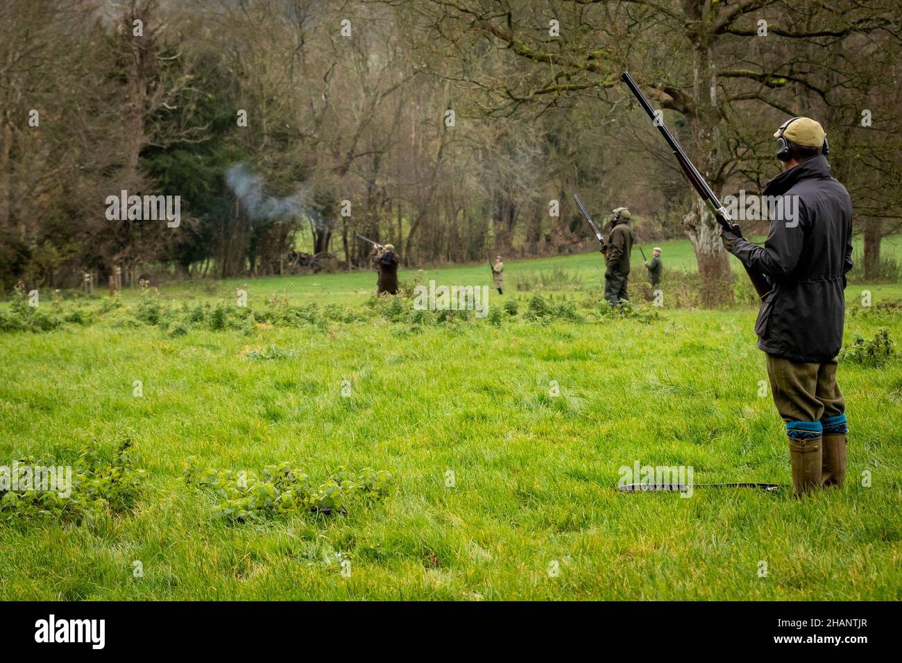 Gentemen Guns schießen auf Faasanten auf Laufwerk, Hampshire, England. Stockfoto