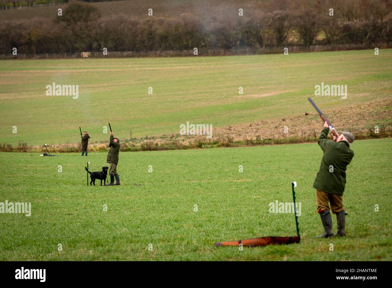 Gentemen Guns schießen auf Faasanten auf Laufwerk, Hampshire, England. Stockfoto