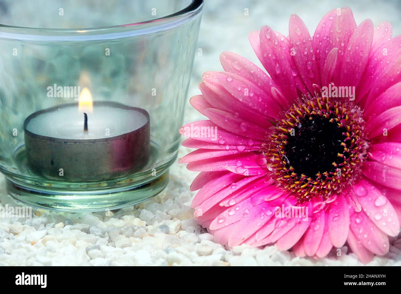 Kerze und Tinte gerberblume auf weißen Steinen Stockfoto