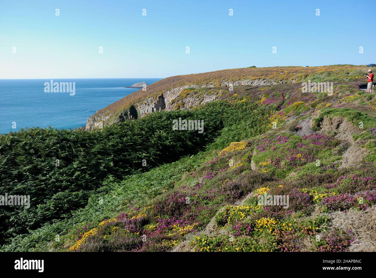 Cap Fréhel, 22 Cote d ' Armor im Juli Stockfoto