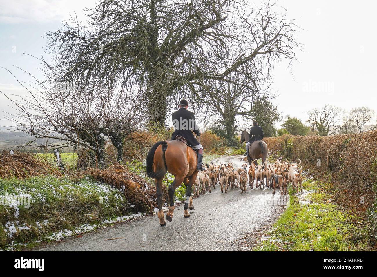 Britische Fuchsjagd im Winter; Rückansicht des Jägermeisters auf seinem Pferd, umgeben von Rudel Fuchshunden in einer ländlichen Gasse. Stockfoto