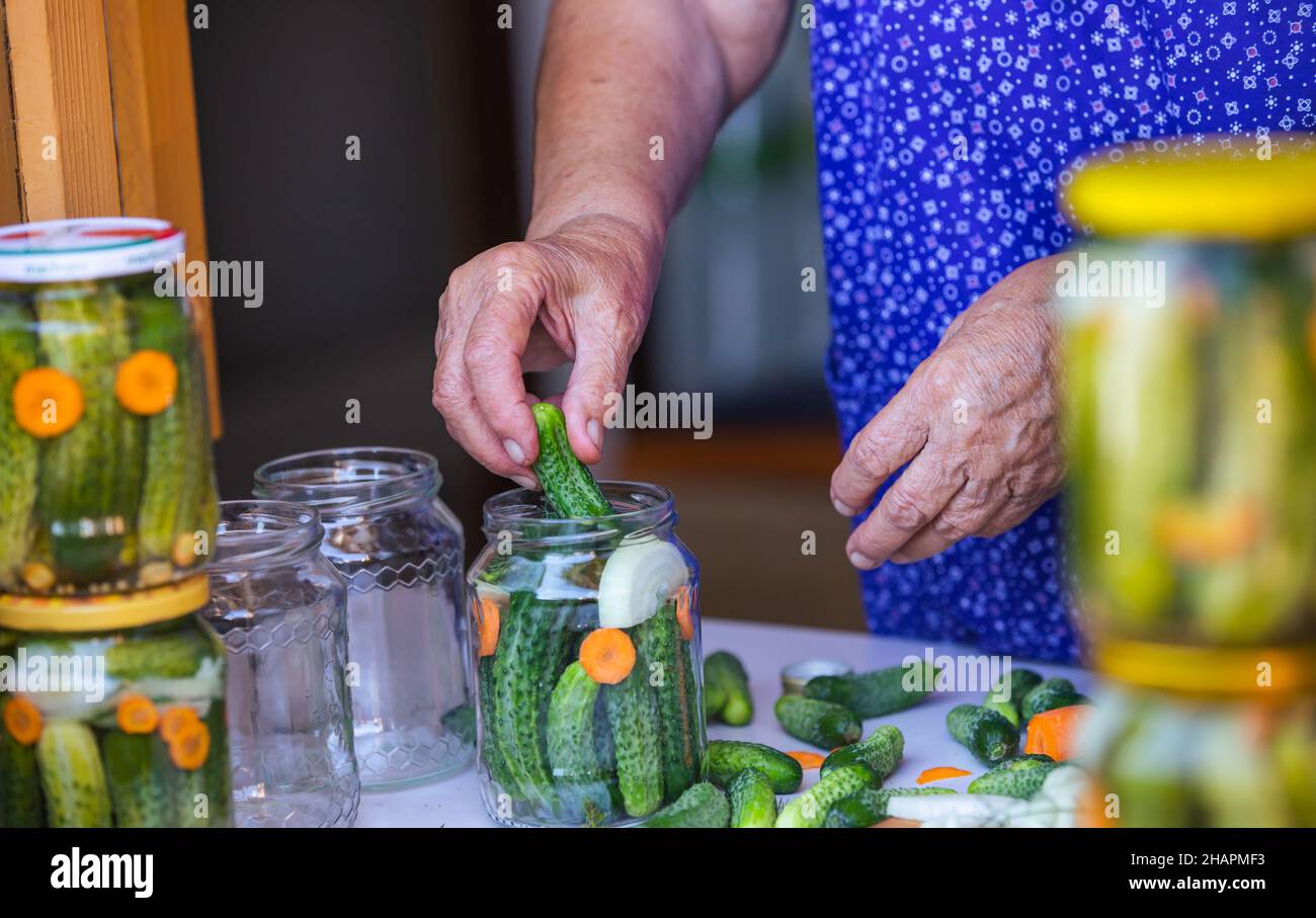 Prozess des Einmachens einer Gurke, ältere Frau Einmachens frischer Gurken mit Zwiebeln und Karotten, hausgemachtes Produkt, Lebensmittelkonzept Stockfoto
