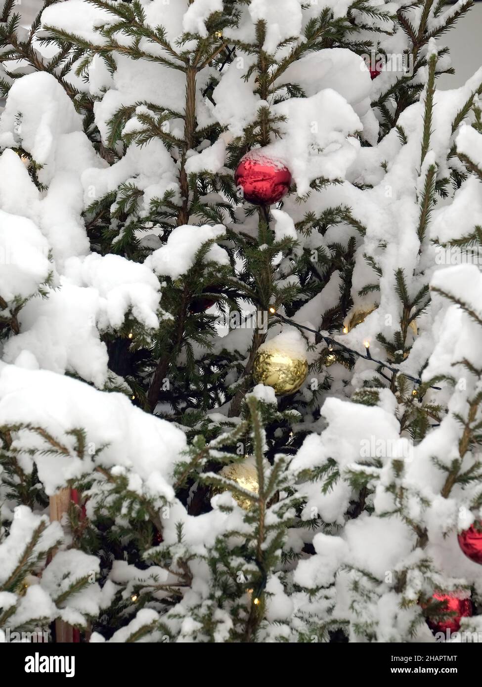 Schneebedeckter Weihnachtsbaum mit weihnachtskugeln und Lichtern Vorderansicht aus nächster Nähe Stockfoto
