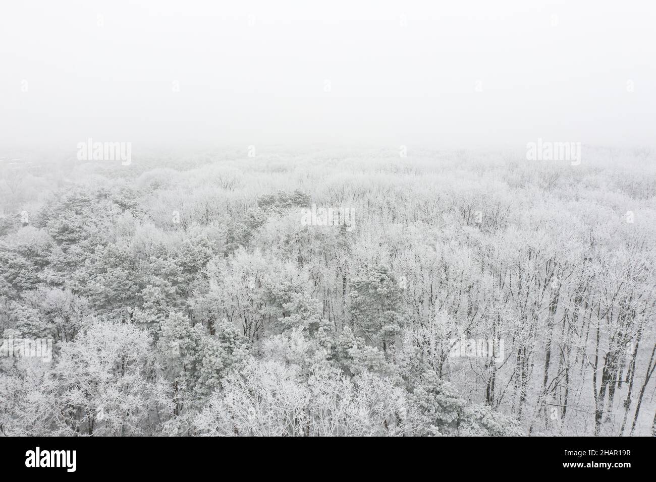 Winterwald bedeckt mit Schnee und Frost, Luftlandschaft Stockfoto