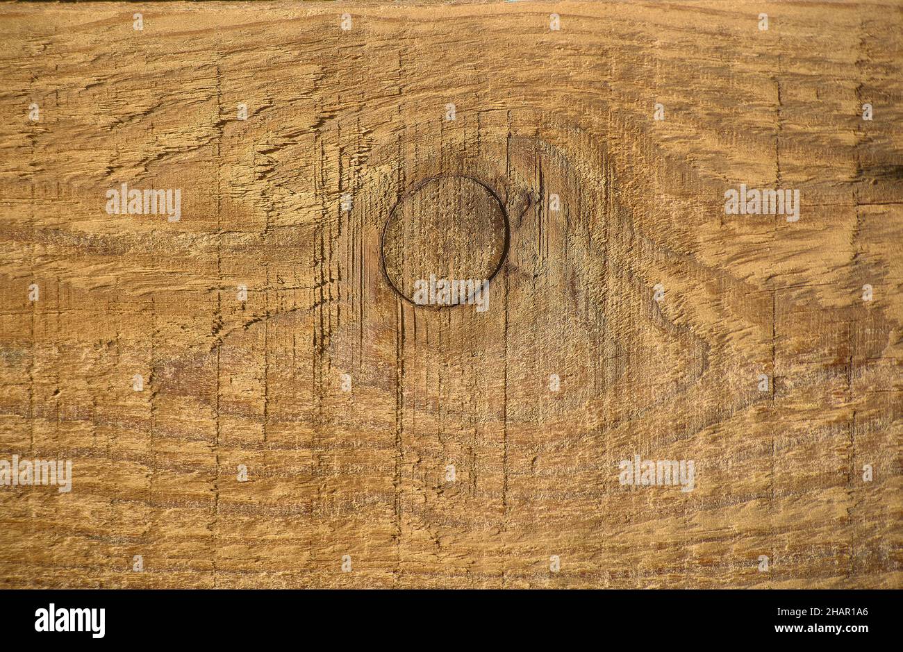 Holzhintergrund mit einem Knoten. Stockfoto