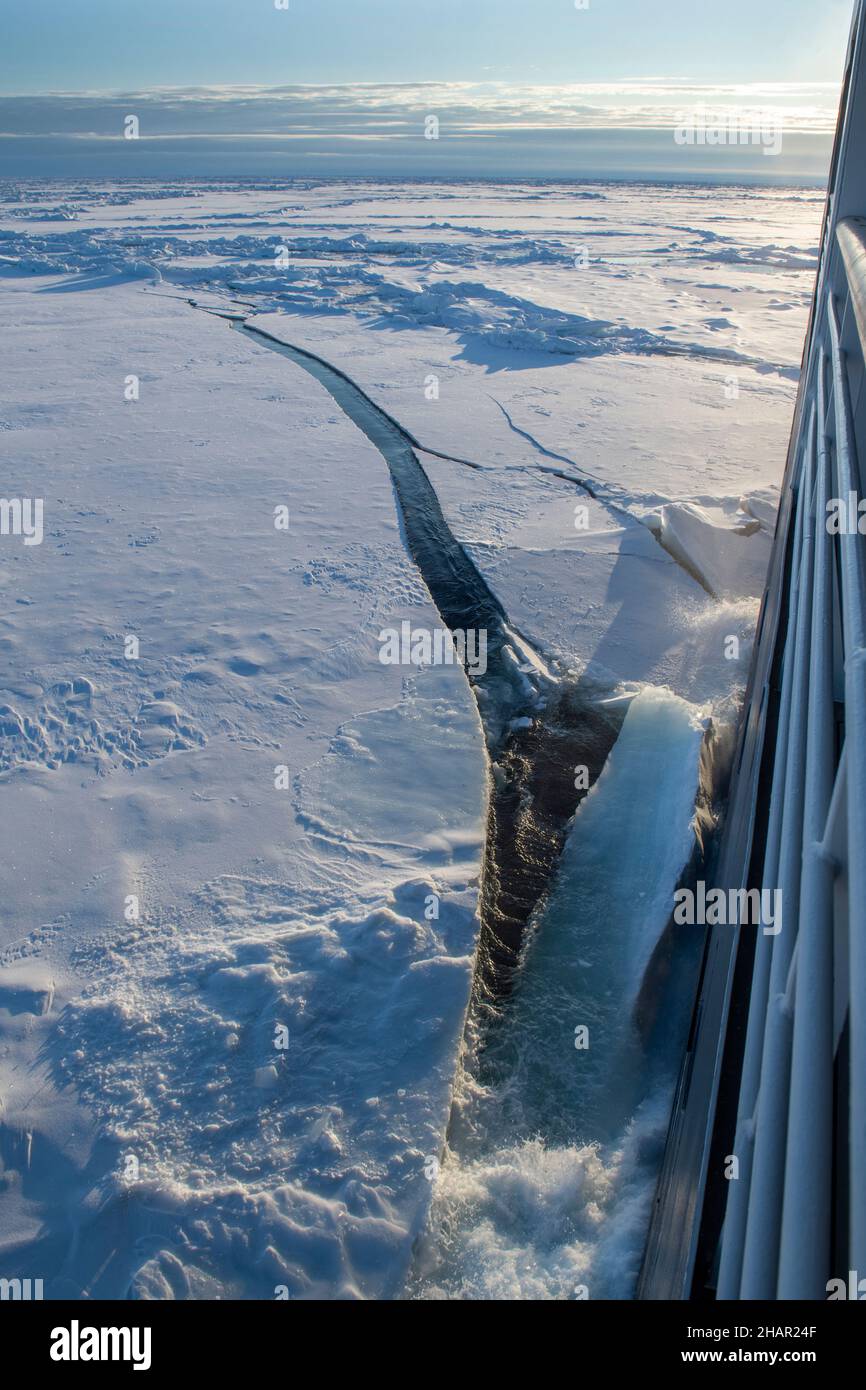 Hohe Arktis, Le Commandant Charcot segelt durch dichtes Eis in polarer Landschaft, grüner LNG-Eisbrecher. Stockfoto