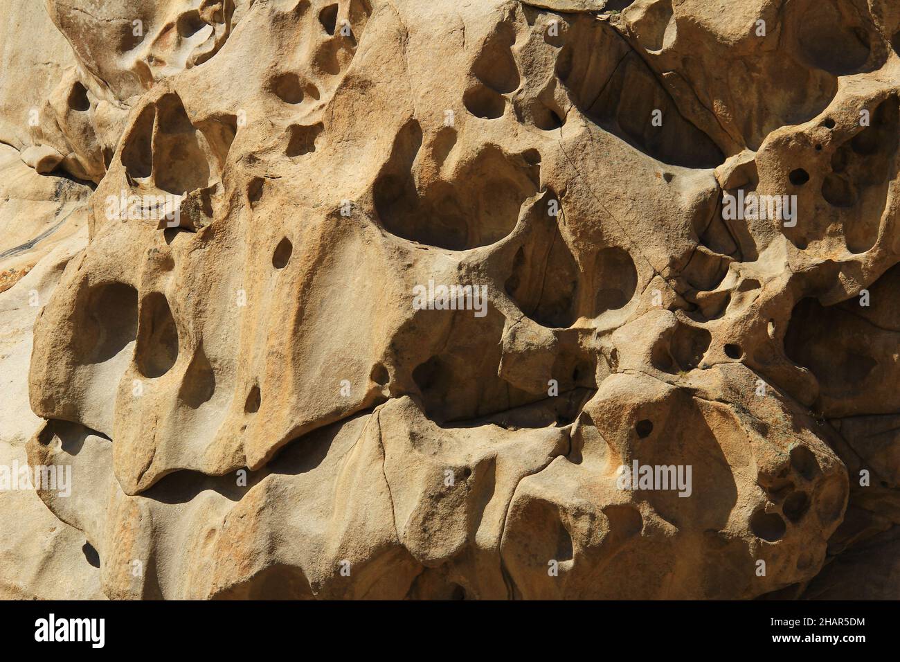 Nahaufnahme einer Steinstruktur auf einem Felsen mit Löchern, Rissen und Rillen auf vulkanischem Gestein im Bektau-ATA-Trakt, Sommer, sonnig Stockfoto