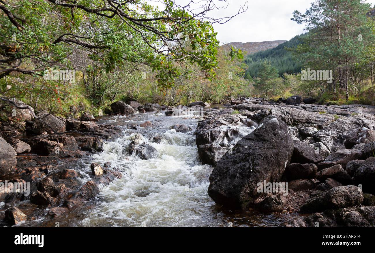 Die Stromschnellen des Strontian River, die durch die alten Eichenwälder von Ariundle führen, einem Naturschutzgebiet, das Besucher nach Strontian, Westschottland, anzieht Stockfoto