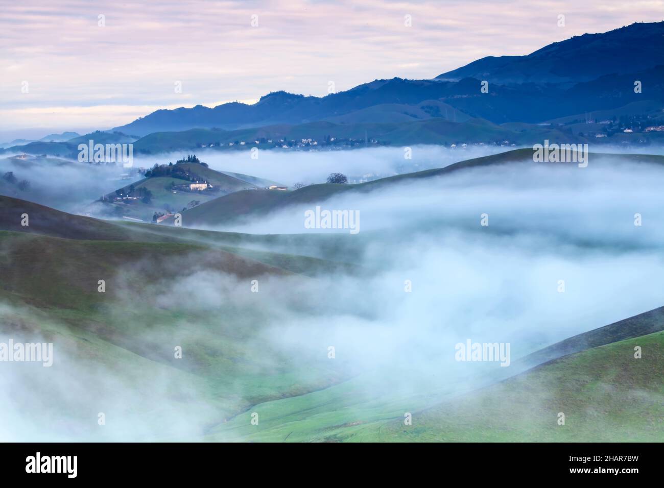 Morgennebel in San Ramon Tri-Valley, Kalifornien Stockfoto