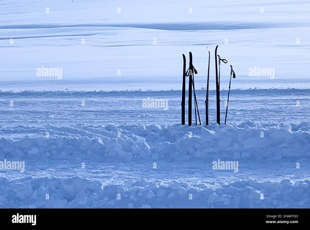 Silhouette von zwei Paar Skiern und Stöcken für den Langlauf. Sie sind senkrecht im Schnee neben einer Loipe zum Langlaufen gepflanzt. Stockfoto