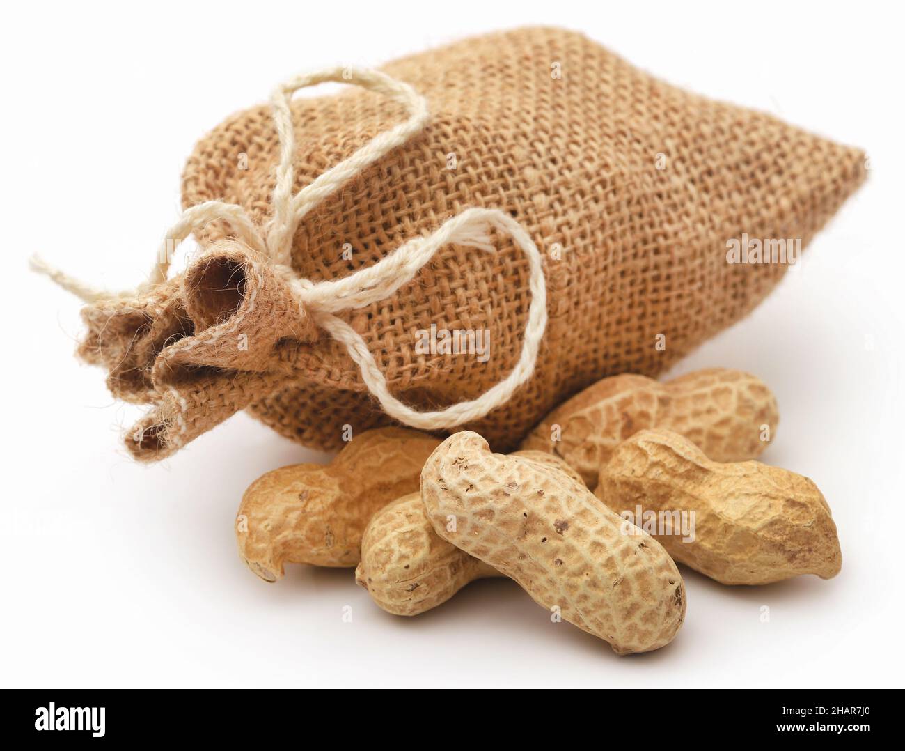 Frische Erdnüsse im Sack auf weißem Hintergrund Stockfoto