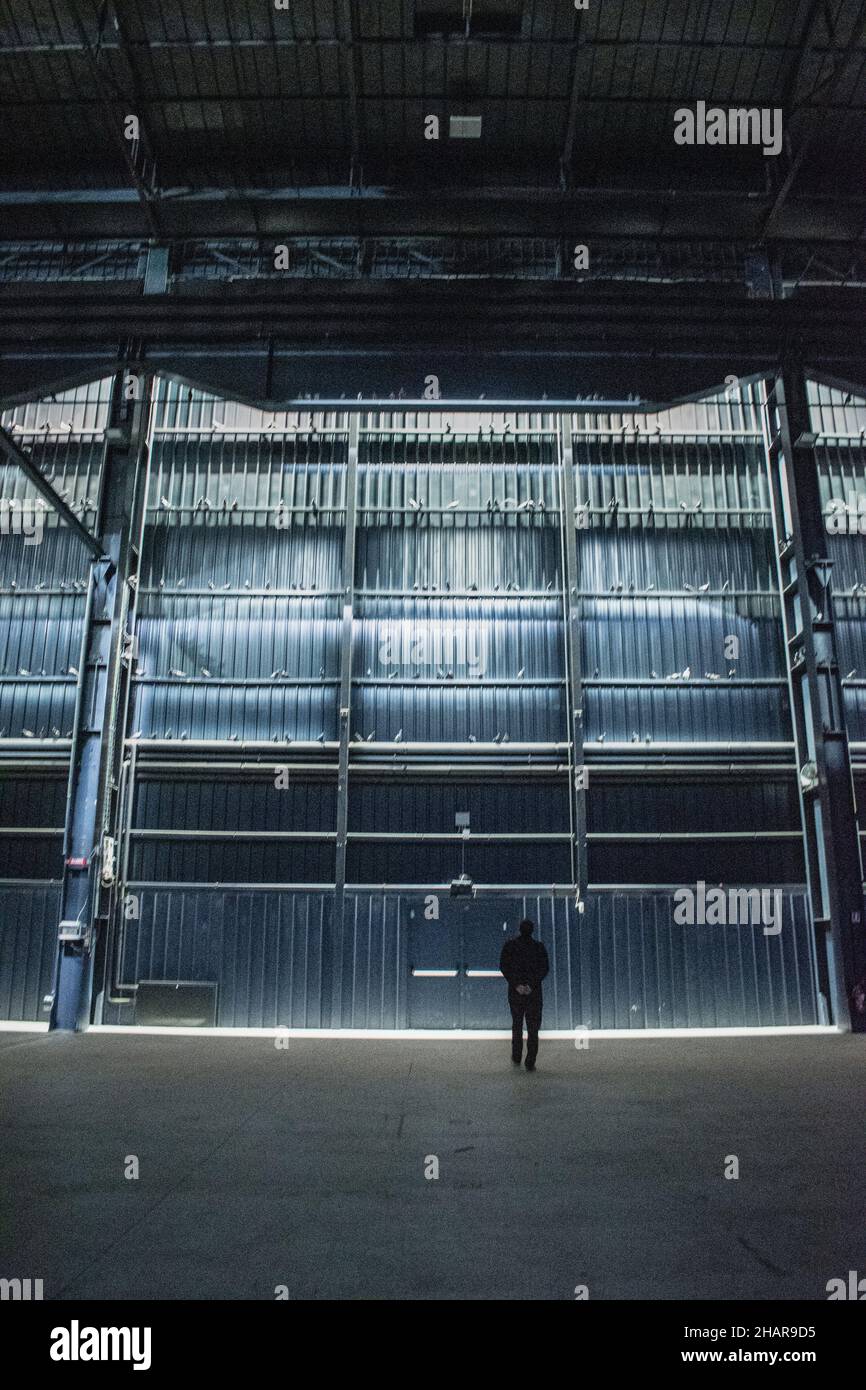 Hangar Bicocca, Mailand:Breath Ghosts Blind von Maurizio Cattelan, Tausende von Tauben, die sich über die Balken verstreut haben, die das Dach unterstützen Stockfoto