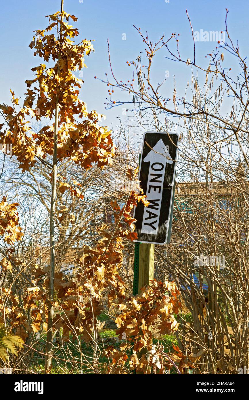Detroit, Michigan - Ein einbahniger Straßenschild in einem Garten. Stockfoto